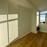 Rent 3 bedroom apartment of 78 m² in Haarlem