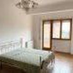 Affitto 3 camera appartamento di 115 m² in Monte Porzio Catone