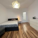 Rent 3 bedroom apartment of 65 m² in Chełm