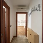 Affitto 1 camera appartamento di 50 m² in Piove di Sacco