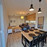 Rent 3 bedroom apartment of 60 m² in szczecin