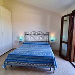 Rent 2 bedroom house of 90 m² in Golfo Aranci