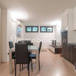 Rent 1 bedroom apartment of 40 m² in Peschiera Borromeo
