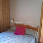 Rent 3 bedroom apartment of 60 m² in Dimaro Folgarida