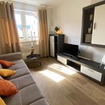 Miete 2 Schlafzimmer wohnung von 40 m² in Osnabrück