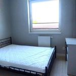 Rent 2 bedroom apartment of 45 m² in Krakow