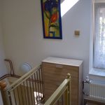 Rent 4 bedroom apartment of 51 m² in Plzeň