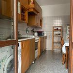 Affitto 2 camera appartamento di 75 m² in Cremona