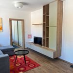 Rent 2 bedroom apartment of 37 m² in Bystřička