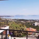 Rent 4 bedroom house of 500 m² in İzmir