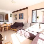 Rent 1 bedroom apartment of 55 m² in orihuela costa 