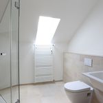Miete 1 Schlafzimmer wohnung von 40 m² in Basel