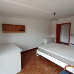 Affitto 4 camera casa di 131 m² in L'Aquila