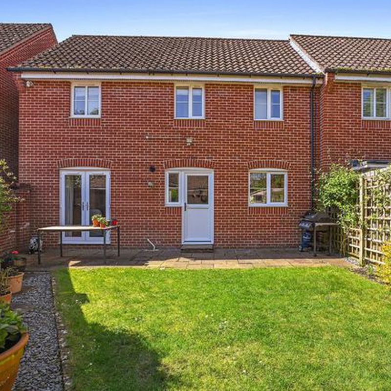 Semi-detached house to rent in Thomas Crescent, Kesgrave, Ipswich IP5 Brightwell Heath