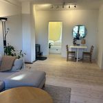 Rent 2 bedroom apartment of 52 m² in Oslo