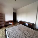 Affitto 1 camera appartamento in Sassari