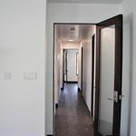 Rent a room of 144 m² in San Jose