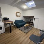 Rent 1 bedroom apartment of 21 m² in Montauban