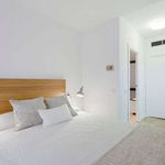 Rent 1 bedroom apartment of 50 m² in Villanueva