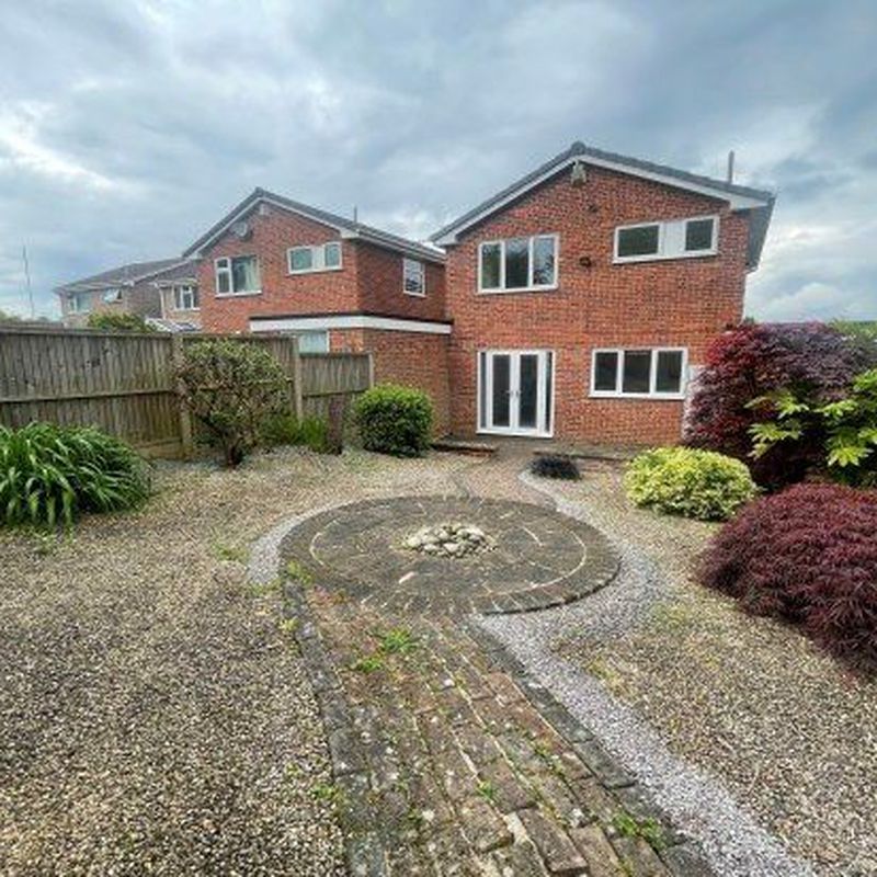 Detached house to rent in Delves Close, Chesterfield S40 Brampton