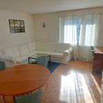 Rent 2 bedroom apartment in Rorbas