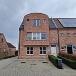 Rent 1 bedroom apartment in Hulshout