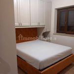 Rent 2 bedroom apartment of 48 m² in Castel di Sangro