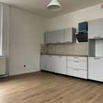 Rent 1 bedroom apartment of 31 m² in Zákupy