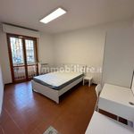 Affitto 1 camera appartamento di 41 m² in Pisa