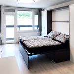 Rent 1 bedroom apartment of 30 m² in Děčín