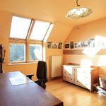 Rent 2 bedroom house of 168 m² in Brussels