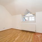 Rent 1 bedroom house of 160 m² in Praha