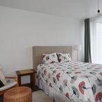 Huur 3 slaapkamer huis van 961 m² in Vosselaar