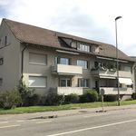 Rent 1 bedroom apartment of 28 m² in Allschwil