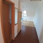 Rent 2 bedroom apartment of 60 m² in Pilsen