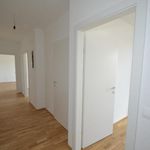 Rent 3 bedroom apartment of 65 m² in Graz