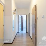 Rent 2 bedroom apartment of 50 m² in Plzeň