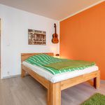Rent 1 bedroom apartment of 32 m² in München
