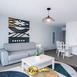 Rent 1 bedroom apartment in Blotzheim