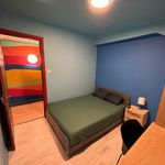 Alquilar 6 dormitorio apartamento en Bilbao