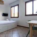 Rent 1 bedroom apartment in Bologna