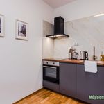 Rent 2 bedroom apartment of 55 m² in Praha