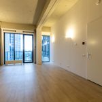 Rent 1 bedroom apartment of 45 m² in Arnhem
