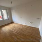 Rent 2 bedroom apartment of 60 m² in Dresden