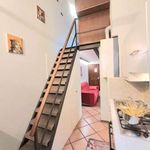 Affitto 2 camera appartamento di 58 m² in Cuneo