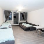 Rent 1 bedroom apartment of 42 m² in Wels