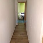 Rent 2 bedroom apartment of 55 m² in Logroño