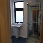 Rent 1 bedroom student apartment of 20 m² in Leicester