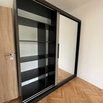 Rent 1 bedroom apartment of 52 m² in Teplice