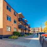 Rent 1 bedroom apartment of 57 m² in Calgary